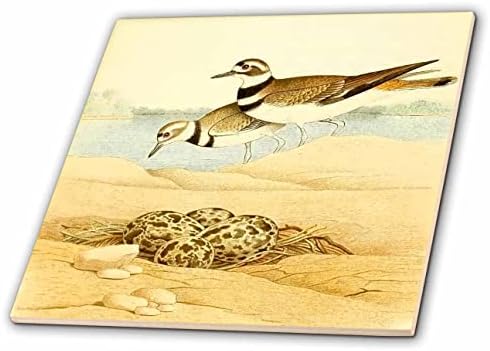 3дроза Гроздобер Птица Уметност Убијци Птици Со гнездо јајца илустрација печатење-Плочки