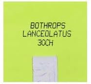 Sbl Bothrops Lanceolatus Разредување 30 CH