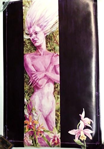 Црн орхидеј DC Comics Vintage 1993 Постер 22 x 34 инчи од Арт illил Томпсон