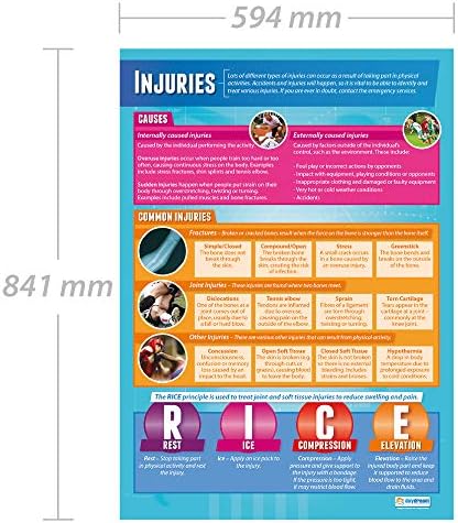 Повреди за образование на дневно ниво | PE постери | Ламинирана хартија за сјај со мерење 33 ”x 23,5” | Табели за физичко образование за
