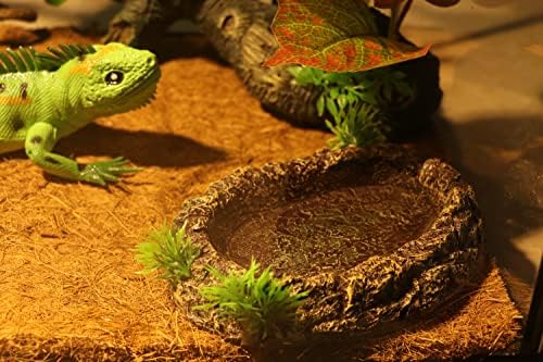 Аква Кт амфибиски влекачи змија црв чинија со вода храна сад за гуштер желка брадести змеј резервоар додаток терариум живеалиште за живеалишта