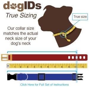 Dogids извезена јака на Martingale најлон кучиња - обичај, трајно мрежи, персонализирано, безбедно, тренинг, направено во САД - Кели