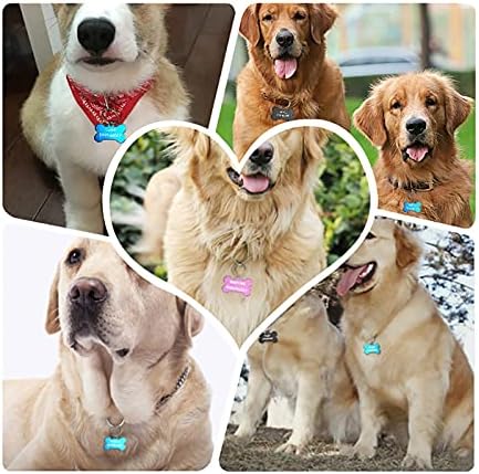 Bo Mei Персонализирана ознака за кучиња од не'рѓосувачки челик врежано ознаки за лична карта за кучиња Анти-изгубени миленичиња