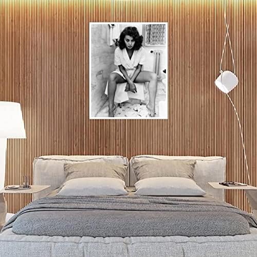 Софија Лорен Канвас отпечати гроздобер познати актери постер славен филм постер постер wallидна уметност за домашни канцелариски украси