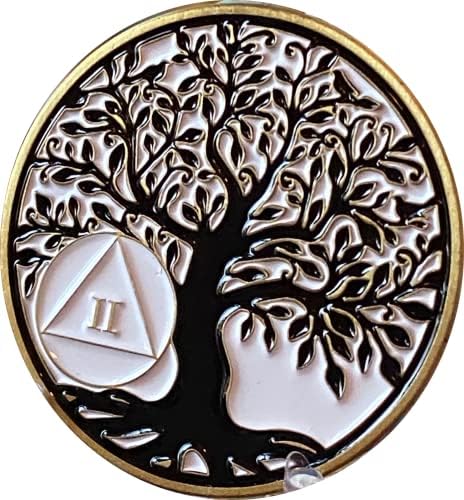 Закрепнување чип 2 Година Med Медалјон Дрво На Животот Спокојство Молитва Медалјон Монета