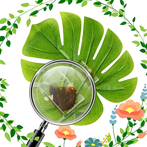 20 парчиња инсекти во грешки во смола зачувани примероци за собирање хартиени страни смола инсекти разни примероци од инсекти за канцелариски