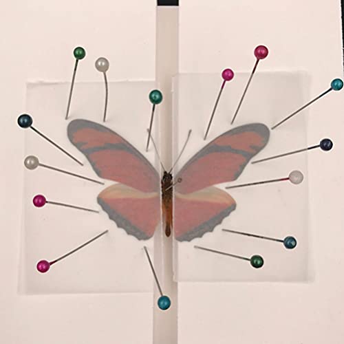 Mipcase Insect Pinning Borter Butterfly Sharding Wings Board Board Poard Spicimen Pless Pless Pliber Plays Display For Supplies Collection Supplies