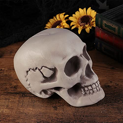 Абоофан 2 парчиња скелети за Ноќта на вештерките Ноќта на вештерките череп глава глава коска модел череп глава декорација пластична