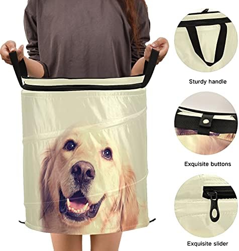 Златен ретривер куче се појави алишта за перење алишта со капакот за складирање на капакот, склопувачка торба за перење за патувања