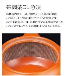 Јапонски Kyusu tokoname Рачно изработено глинено чајник 9,5 fl. Onces Morimasa Y813