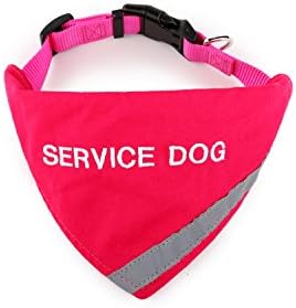 Бандана Извезена Со Службено Куче | Рефлектирачка Лента За Безбедност на миленичиња | Вградена Соодветна Јака За Да Ја Одржува Банданата
