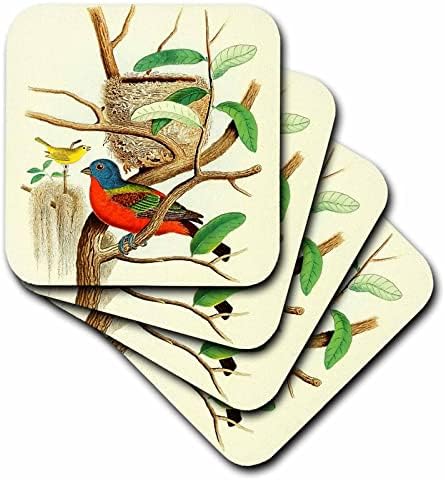 3дроза Гроздобер Печатење На Птици Насликани Шарени Птици Уметничка Илустрација-Подлоги