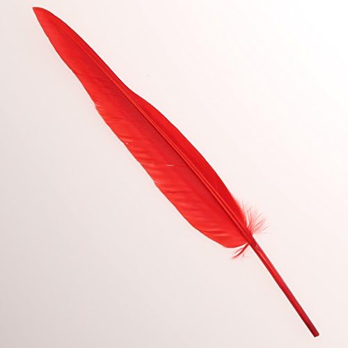 Кијохара Гуска Ветер Сечење Црвено Приближно/30 cm Приближно пакет од 5 FT13 