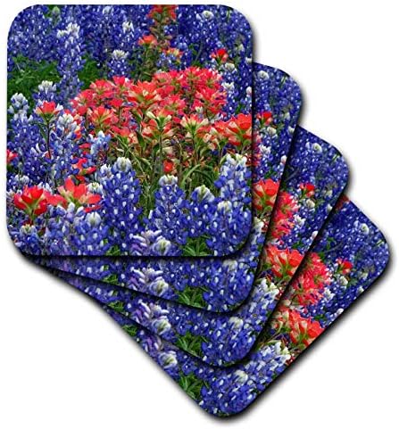 3drose Тексас Хил Земја Диви Цвеќиња. Блубонети И Индиски Четки За Бојадисување-Подлошки