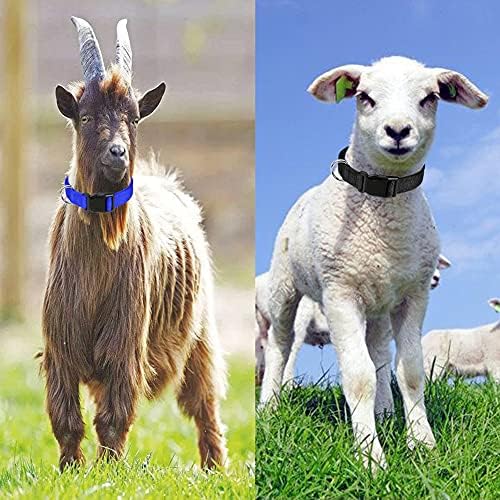 Коза јаки, прилагодливи најлонски мали овци јаки класични цврсти бои со брзо ослободување на тока за мали фарми животински кози