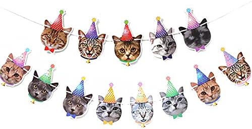 Роденденски транспарент мачка лице што виси за роденденски знак за роденден за роденденска забава за роденденски украси