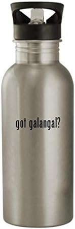 Подароците на Ник Нок го добија Галангал? - 20oz шише со вода од не'рѓосувачки челик, сребро