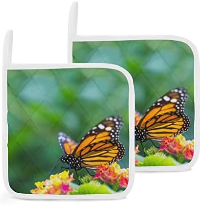 Монарх пеперутка на држачи за цвеќиња 8x8 отпорни на топлина топли влошки за заштита