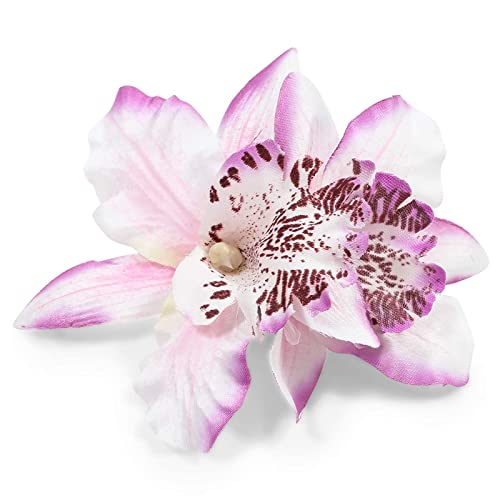 Орхидеи Цвет Алигатор Коса Клипови За Жени