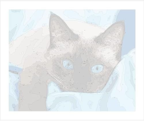Сликарство на yscolor diy по броеви сијамски мачки животни DIY масло сликарство бои за слики 16x20inch