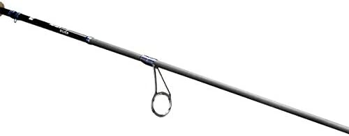 13 риболов - пркоси сребро - вртејќи се за риболов шипки