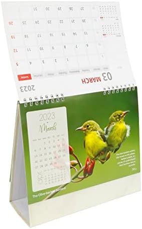 2023 Календар За Биро-10 х 8 Инчи-Со Планер за Планирање и Организирање.Месечен Календар За Канцеларија - 2023 Новогодишен Календар На Трпеза-Прекрасни