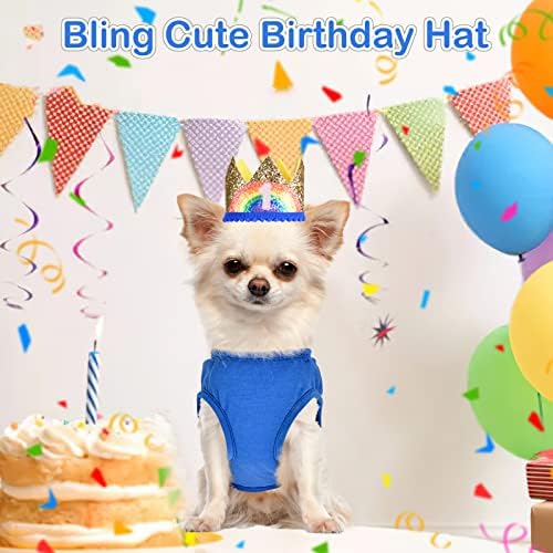 Куче роденденска кошула капа сет- костум за роденденска облека за кучиња со тоа е мојот роденденски елек знак- куче роденденска капа