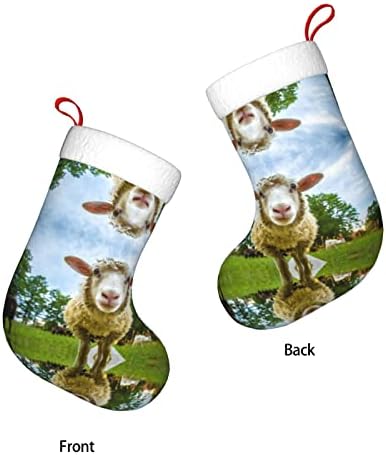 Овци кои изгледаат камераперсонализирани Божиќни чорапи за домашни празници за Божиќни забави