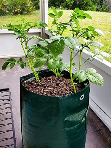 Anphsin 2 пакувања 10 галон компири растат торби со размавта и рачки -фабрични садови за пластери за растенија за садење домати од зеленчук