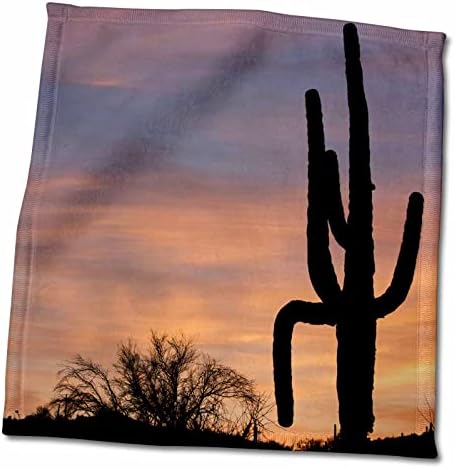 3drose USA, Arizona, Tonto NF, Saguaro на зајдисонце. - крпи