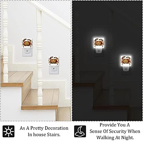 Dungeness Crab LED ноќна светлина, детски ноќни светла за приклучок за спална соба во wallидна ноќна ламба прилагодлива осветлување