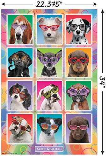 Трендови Интернационал Кит Кимберлин - кученца - постер за wallидови на очила за сонце, 22.375 „x 34“, Необрачена верзија