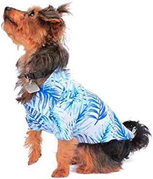 Хавајски Појавување Модел Куче Алоха Кошула Во Едноставно Сини Лисја Големина XLarge