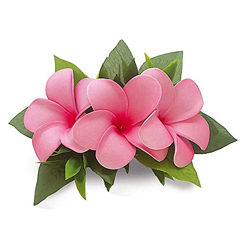 Хаваи Коса Клип Пена Цвет Кластер Плумерија Розова