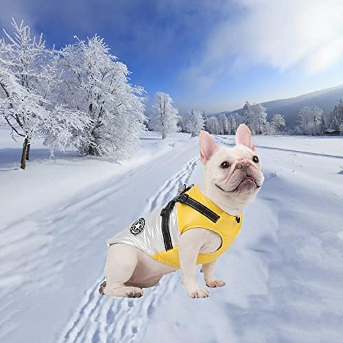 Куче зимски палта Студено време топло јакна рефлексивни водоотпорни и ветроупорни кучиња елек со Д-прстен за облека за миленичиња