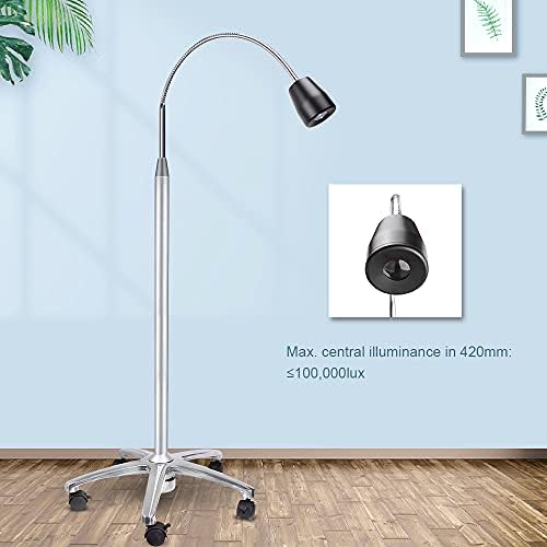 Eustoma 3W LED светлосен под, преносен мобилен тип, преносен помошен ламба LED хируршка ладна ламба JD1100