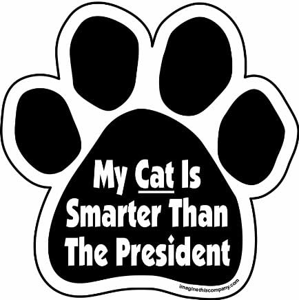 Замислете Го Ова Мојата Мачка Е Попаметна Од Претседателот Шепа Автомобил Магнет, 5-1/2-Инчен од 5-1/2-Инчен