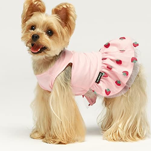 Fitwarm 2-пакетче од лубеница од јагода од јагода од јагода, кучиња, памучна летна облека за кучиња за мали кучиња девојче,