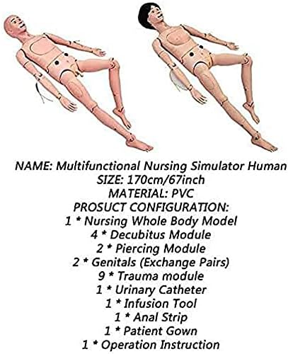 Foccar 5.7ft Life Life Human Manikin Симулатор за нега на пациенти за обука на медицинска сестра настава маникин