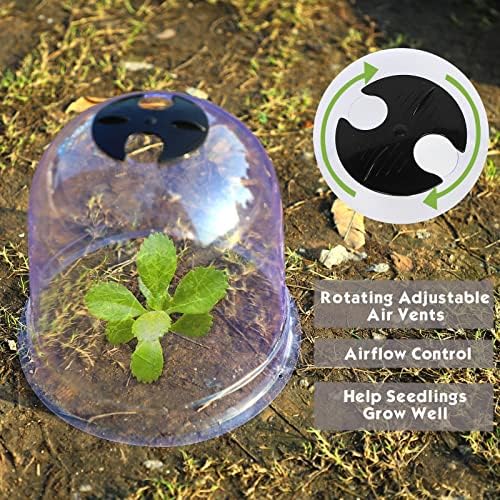 Mortime 6 Pack Garden Cloche Plant Cloce Dome, 7,3 D x 6,9 H Пластично растително капаче за повторно користење на мини стаклена градина со
