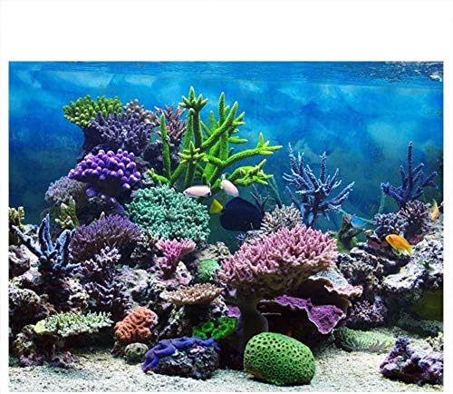 Постер за аквариум HEEPDD, подводен морски корал резервоар за риба позадина постер задебелен ПВЦ лепило статичко залепување