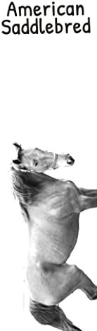 Уметност Куче Оод. Американска Седло, Дрвена Кутија За Вино Со Слика На Коњ