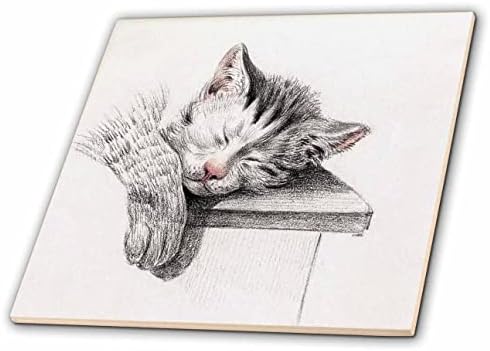 3дроза Слика на Гроздобер Цртеж На Спиење Сива И Бела Мачка-Плочки