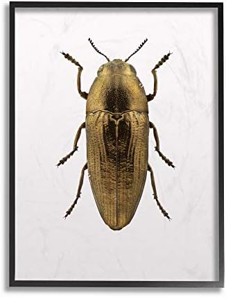 Sumn Industries Beetle Gold Animal Photoplaight Wall Plaque, 10 x 15, Дизајн од Уметнички дизајн Фабриккен