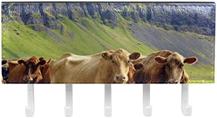 Организатор на рак на животински крави на добиток со 5 куки wallидна кујна за кујнски решетки за повеќекратна полица за складирање