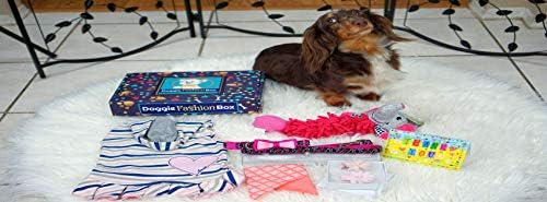 Модната кутија Доги - курирани забавни тематски играчки за кучиња, трендовски кошула, кучиња бандана и збир на лакови: куче со