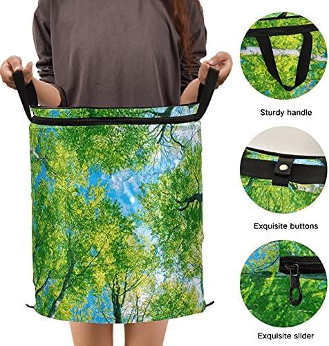 Зелено шумско дрво се појавува алишта за алишта со капакот за складирање на капакот за складирање на капакот за хотелски дом за кампување во