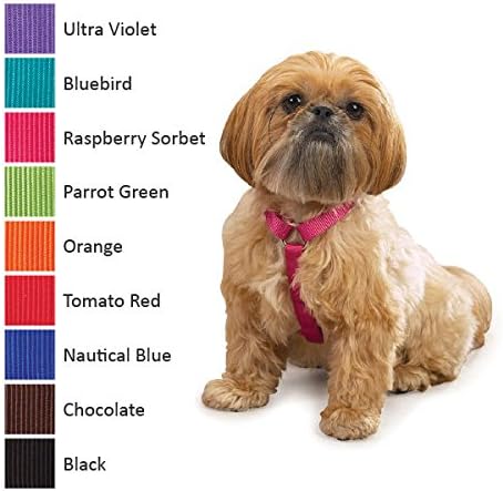 Кучиња засолништа за засолниште за засолниште за засолниште за засолниште, избрана боја Изберете големина и количина