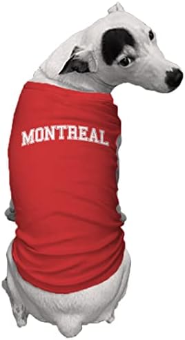Монтреал - Кошула за кучиња од спортска државна градска школа