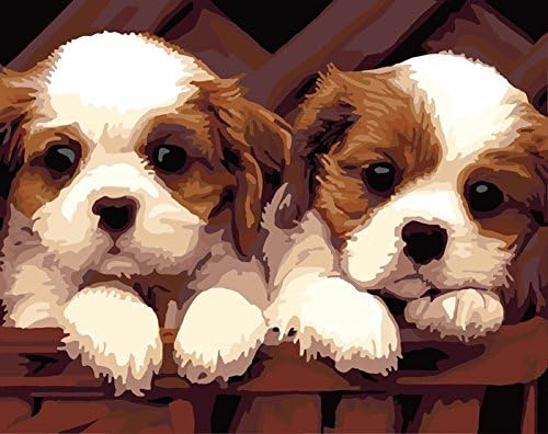 Деко простор Нерасположена боја по број на броеви - кучиња миленичиња - DIY wallидна уметност Декорација на платно слика 40 x 50cm /
